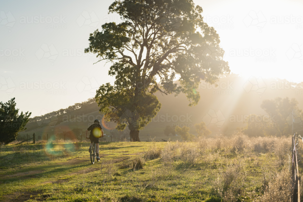 Teenage boy riding mountain bike in rural countryside bathed in golden afternoon light - Australian Stock Image