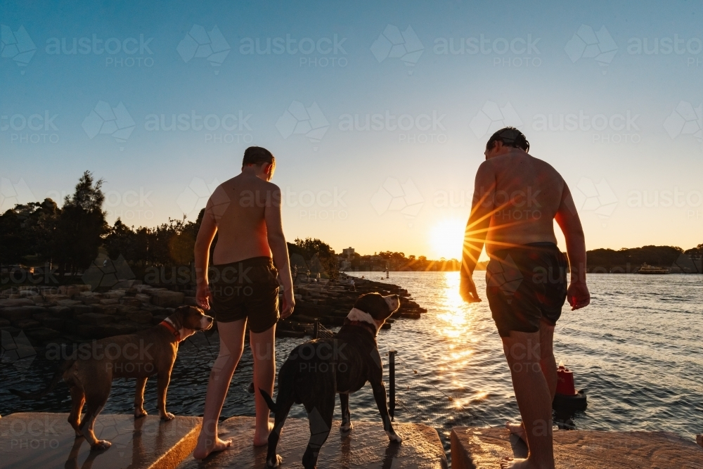 Teenage boys standing with dogs on ledge by water in bright setting sun - Australian Stock Image
