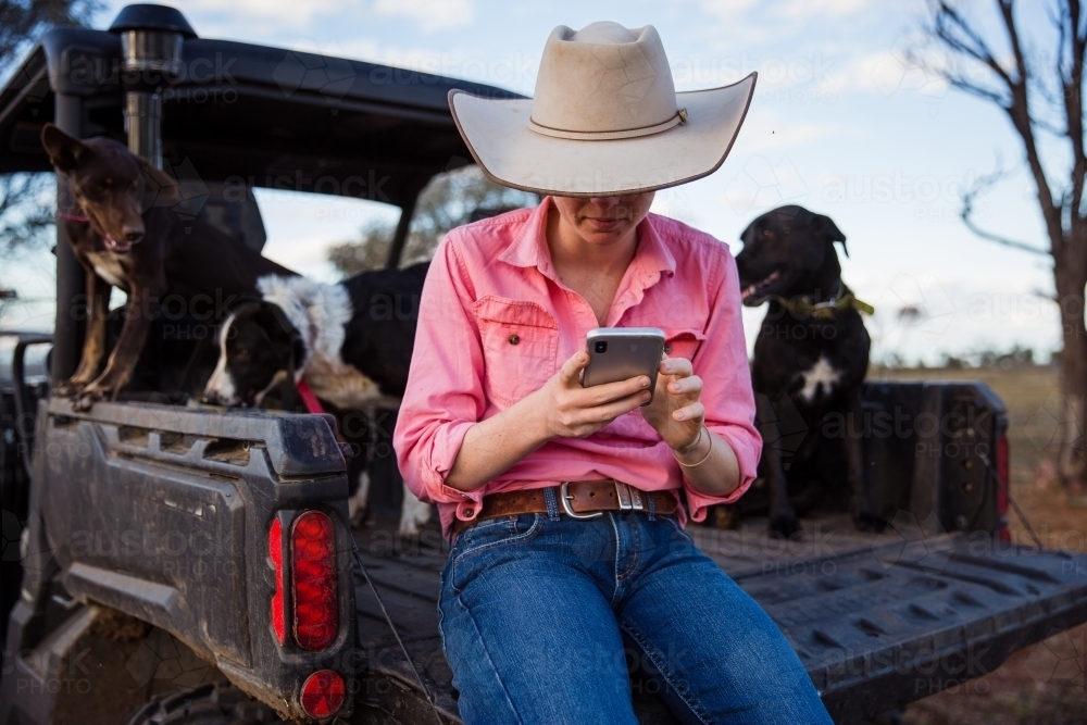 Teenage farmer sitting with dogs in farm vehicle - Australian Stock Image