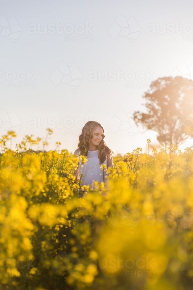 Teenage girl standing in canola field looking at crop on farm - Australian Stock Image