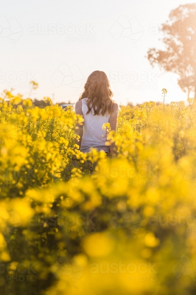 Teenage girl walking away through field of canola on farm - Australian Stock Image