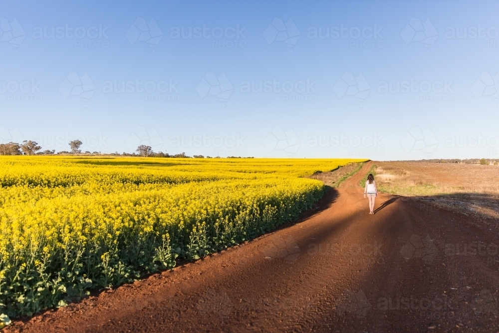Teenage girl walking down dirt track on farm with canola field - Australian Stock Image