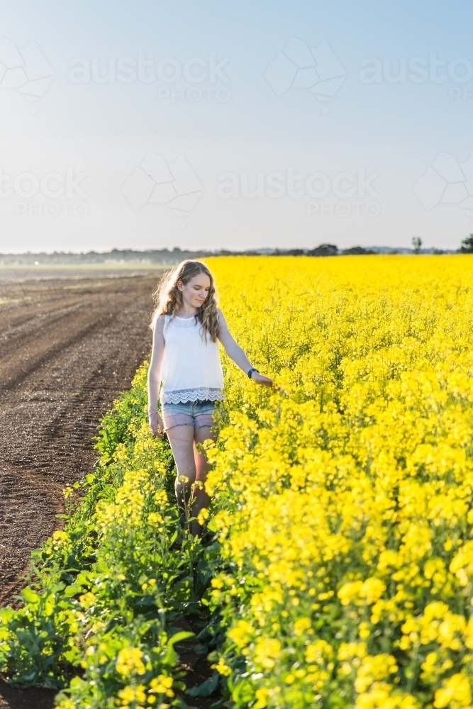 Teenage girl walking through canola crop on farm touching flowers - Australian Stock Image