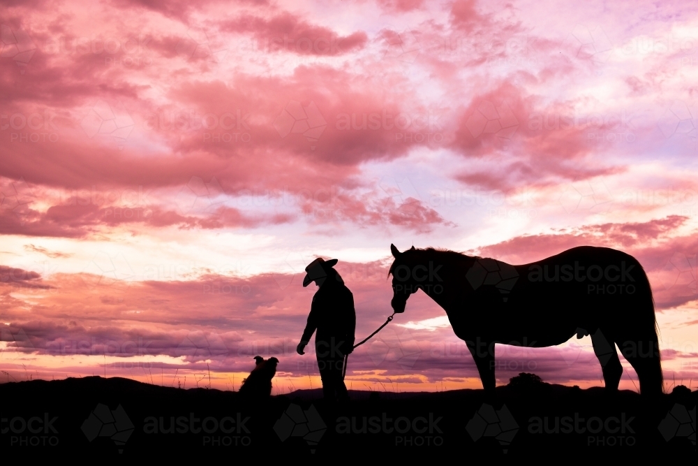 Teenager with horse and dog on hilltop at sunset silhouetted against pink clouds - Australian Stock Image