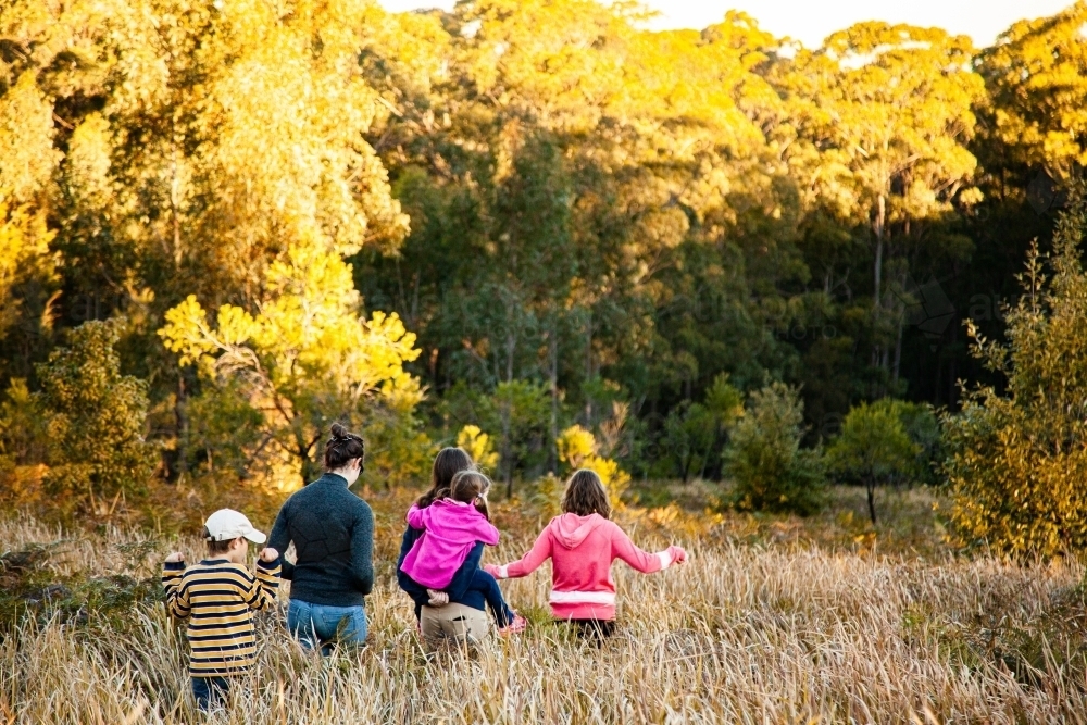 Teenagers and children adventure through fern undergrowth in forest - Australian Stock Image