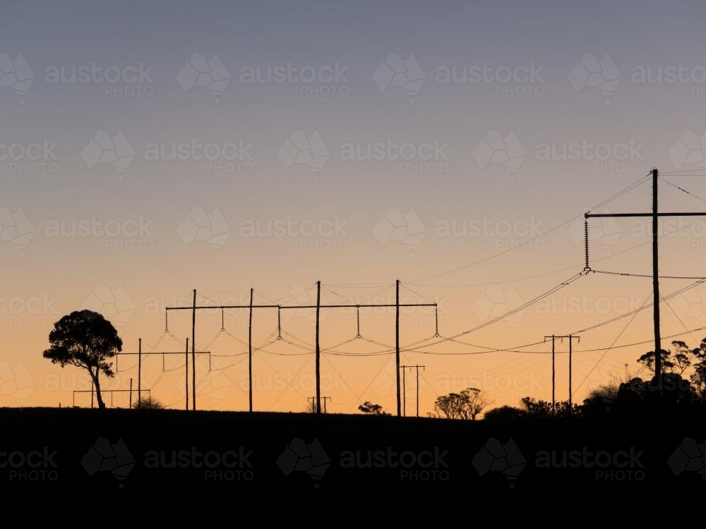 Telegraph poles and wires silhouetted against early morning light - Australian Stock Image