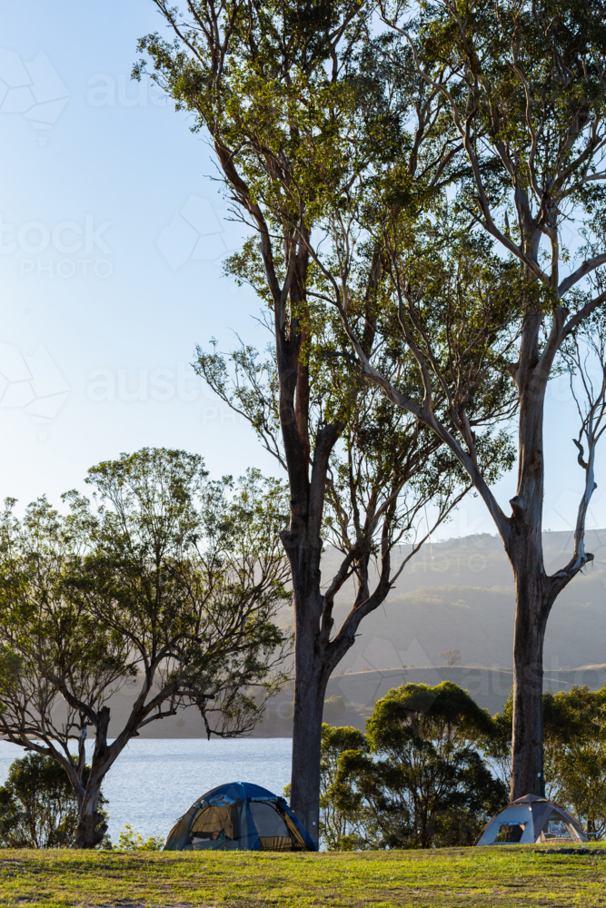 Tents set up on hillside at campground by lake in inland Australia in the Hunter Valley - Australian Stock Image