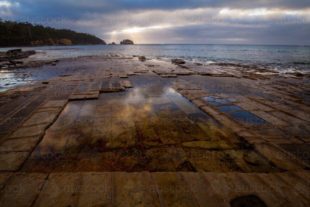 Tessellated Pavement - Forestier Peninsula - Tasmania - Australian Stock Image