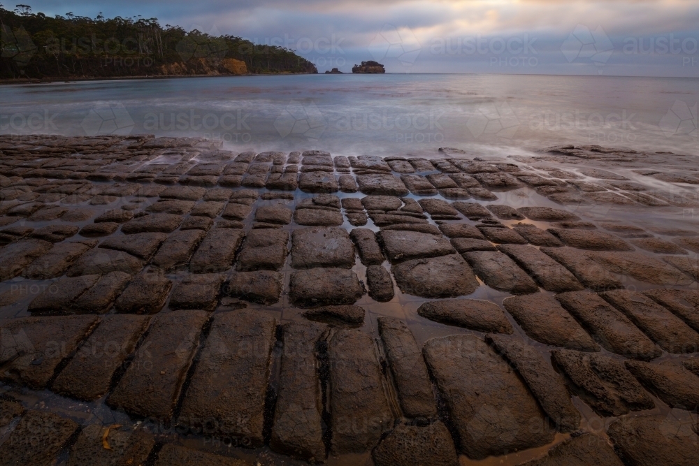 Tessellated Pavement - Forestier Peninsula - Tasmania - Australian Stock Image