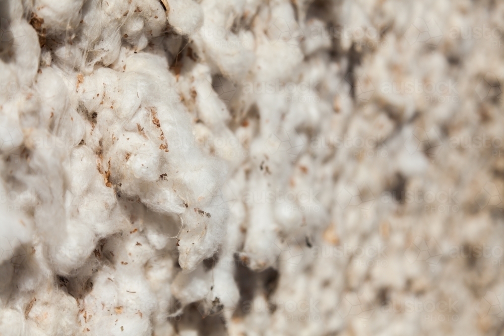 Texture of cotton in cotton bale - Australian Stock Image
