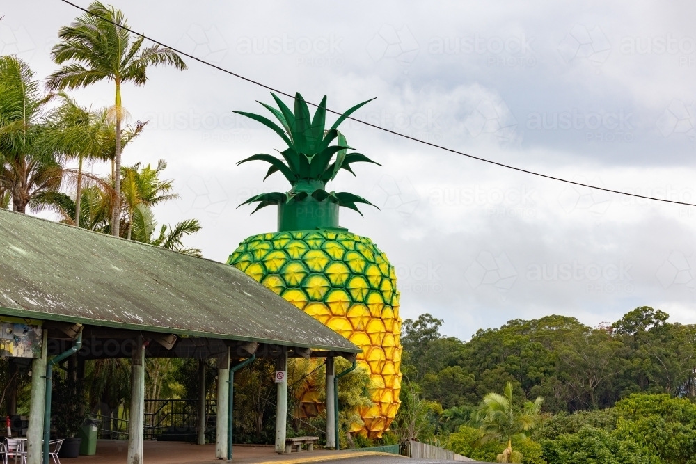The Big Pineapple tourist attraction at Woombye QLD - Australian Stock Image