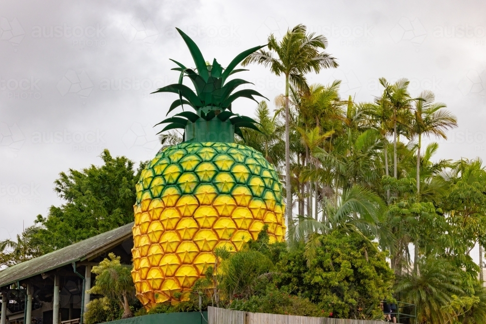 The Big Pineapple tourist attraction at Woombye QLD - Australian Stock Image