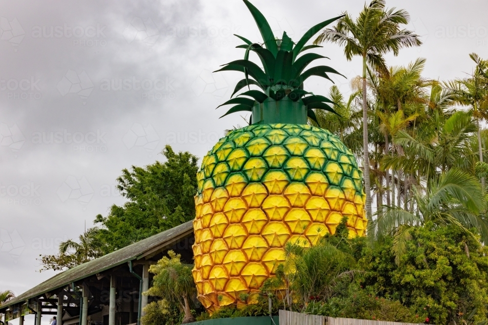 The Big Pineapple tourist attraction at Woombye QLD - Australian Stock Image