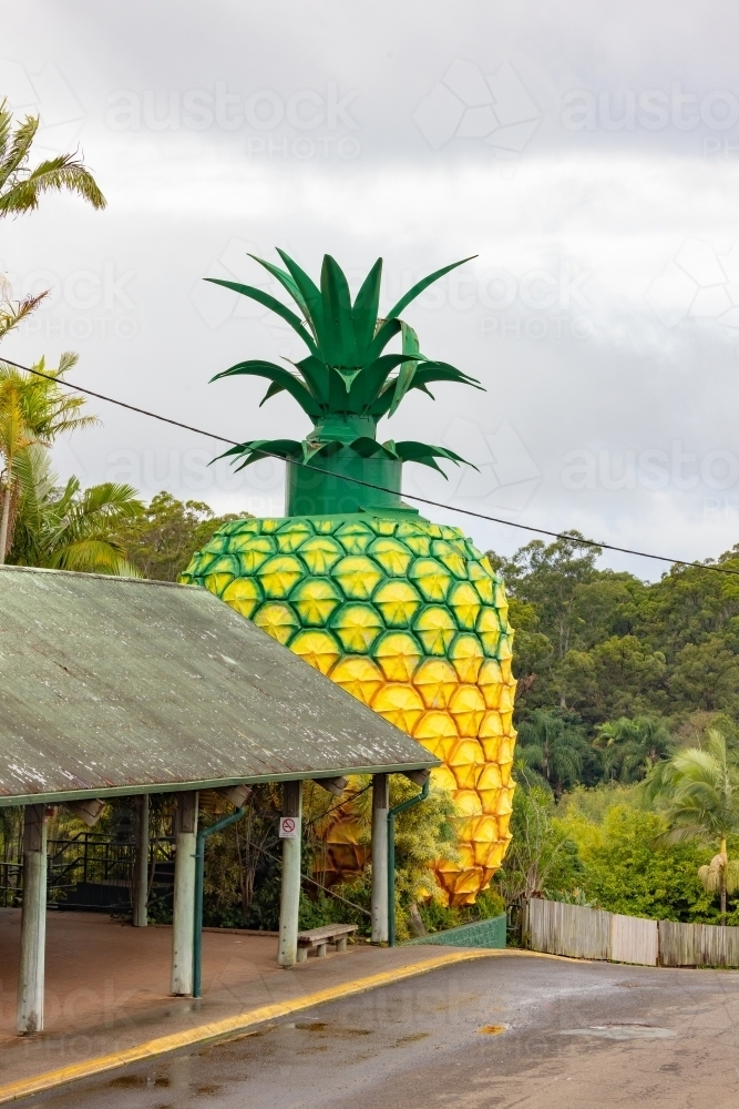 The Big Pineapple tourist attraction at Woombye QLD - Australian Stock Image