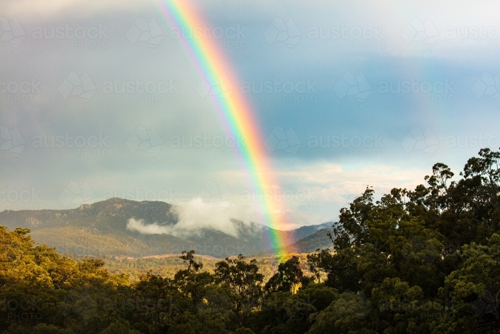 The colourful end part of a rainbow reaching down to the ground amongst eucalyptus forest - Australian Stock Image