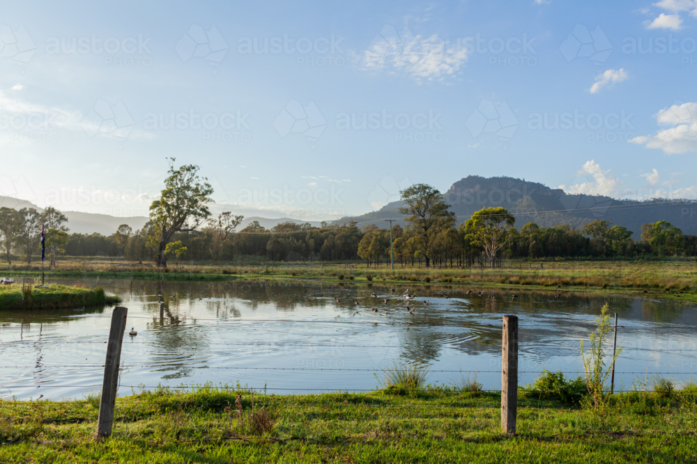 The dam in rural village of Broke NSW at first light of day - Australian Stock Image
