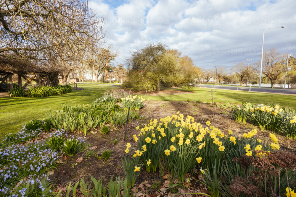 The famous Castlemaine Botanical Gardens on a warm spring afternoon - Australian Stock Image