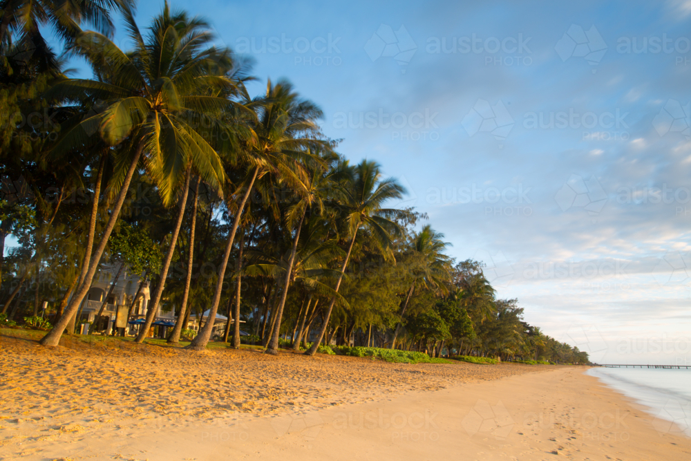 The famous idyllic beachfront of Palm Cove at sunrise in Queensland, Australia - Australian Stock Image