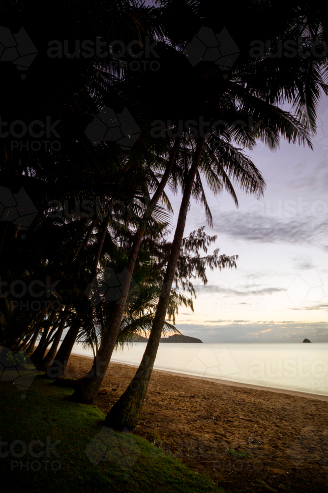 The famous idyllic beachfront of Palm Cove at sunrise in Queensland, Australia - Australian Stock Image