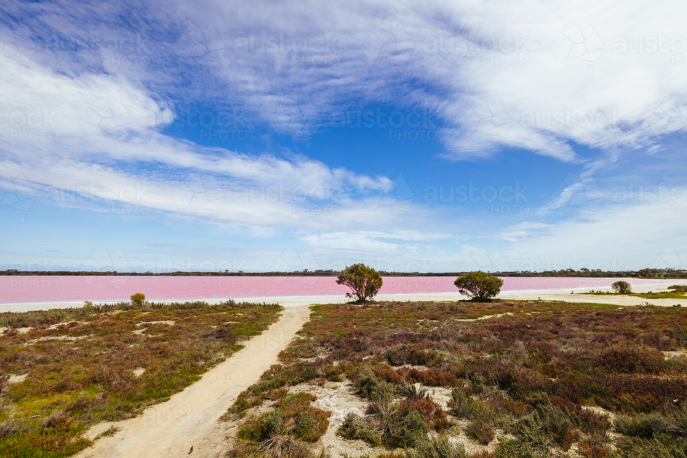 The famous Lake Lochiel, otherwise known as Pink Lake near Dimboola on a warm spring day - Australian Stock Image