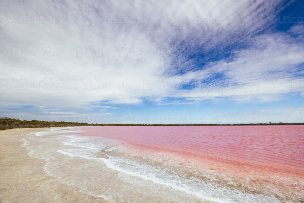 The famous Lake Lochiel, otherwise known as Pink Lake near Dimboola on a warm spring day - Australian Stock Image