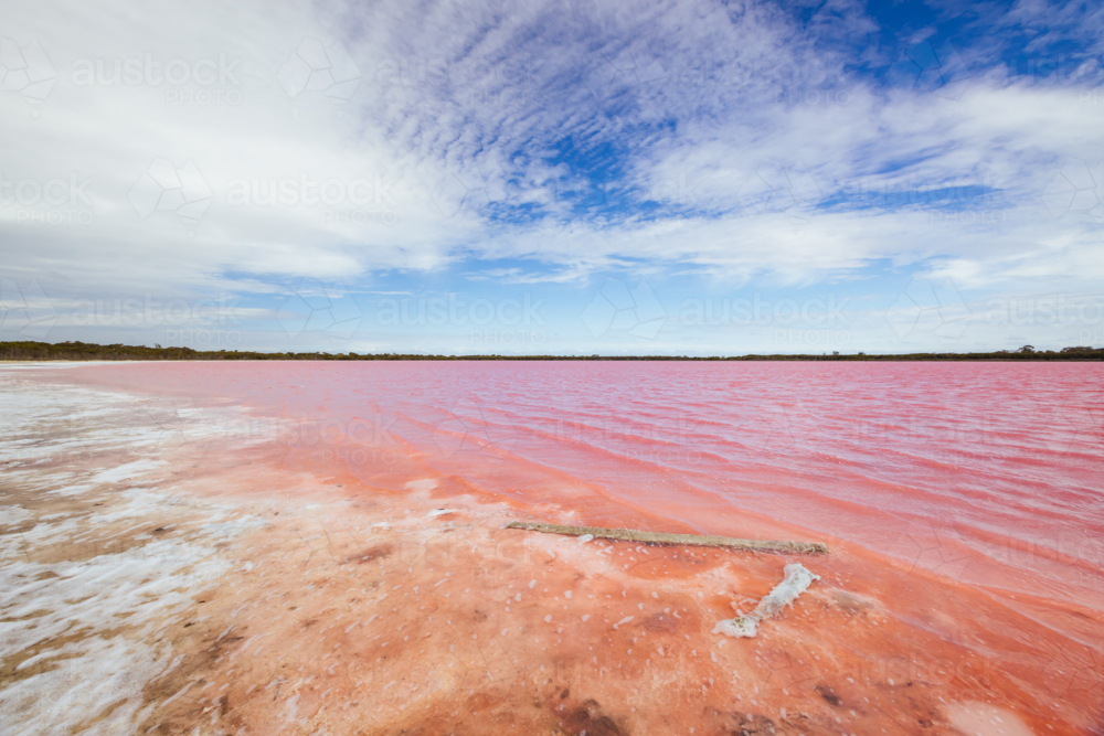 The famous Lake Lochiel, otherwise known as Pink Lake near Dimboola on a warm spring day - Australian Stock Image