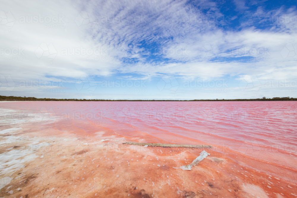The famous Lake Lochiel, otherwise known as Pink Lake near Dimboola on a warm spring day - Australian Stock Image