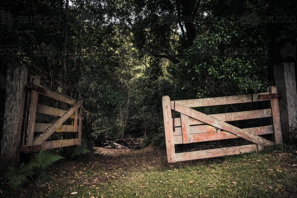 The fence leading into bush. - Australian Stock Image