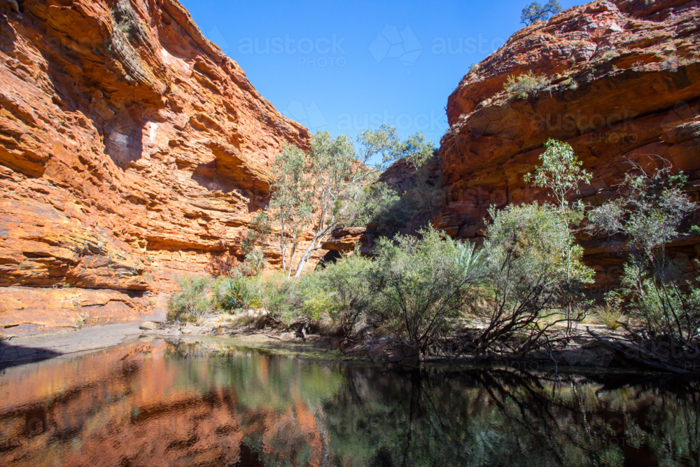 The Garden of Eden at Kings Canyon in the Northern Territory, Australia - Australian Stock Image