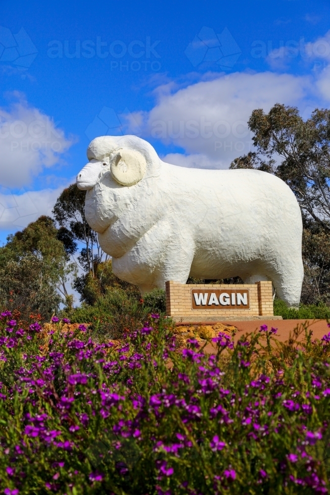 The Giant Ram at Wagin, WA - Australian Stock Image