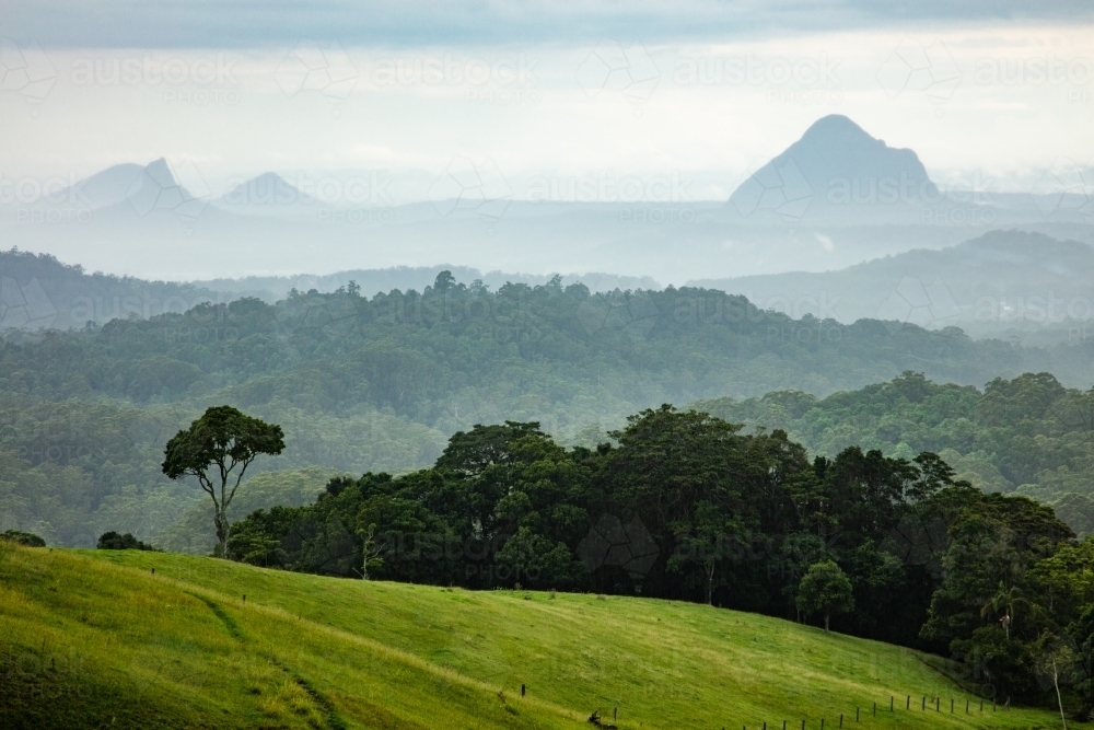 The Glasshouse Mountains and green hinterland - Australian Stock Image
