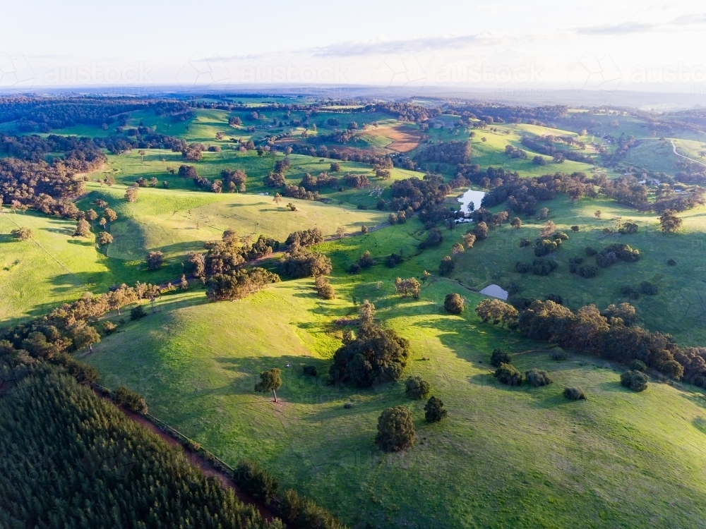 the green rolling hills of Ferguson Valley in late afternoon - Australian Stock Image