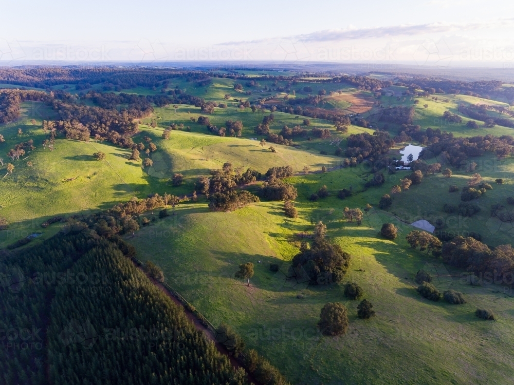 the green rolling hills of Ferguson Valley in late afternoon - Australian Stock Image