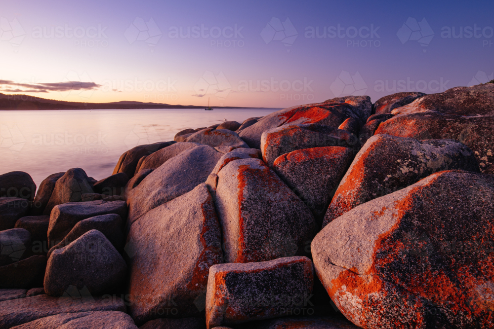 The lichen covered rocks at sunset in the Bay of Fires at Binalong Bay, Australia - Australian Stock Image