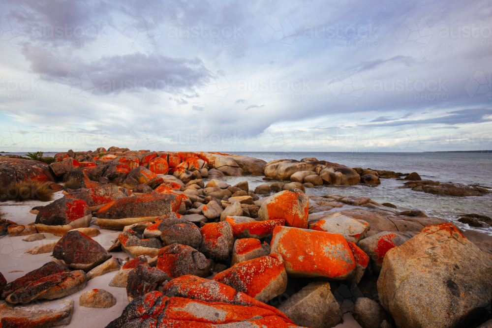 The lichen covered rocks at sunset in the Bay of Fires at Binalong Bay, Australia - Australian Stock Image