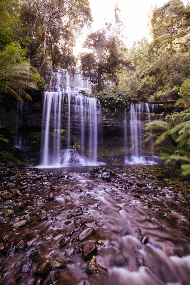 The majestic Russell Falls in Mt Field National Park on a cold spring afternoon in Tasmania, Austral - Australian Stock Image