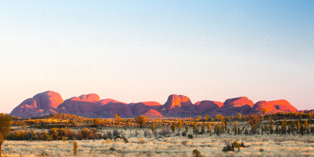 The Olgas at sunrise on a clear winter's morning in the Northern Territory, Australia - Australian Stock Image