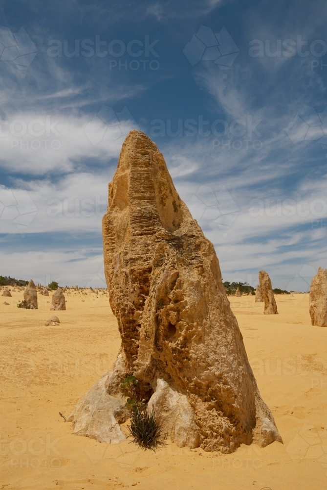 The Pinnacles under blue skies in the Nambung National Park, Western Australia - Australian Stock Image