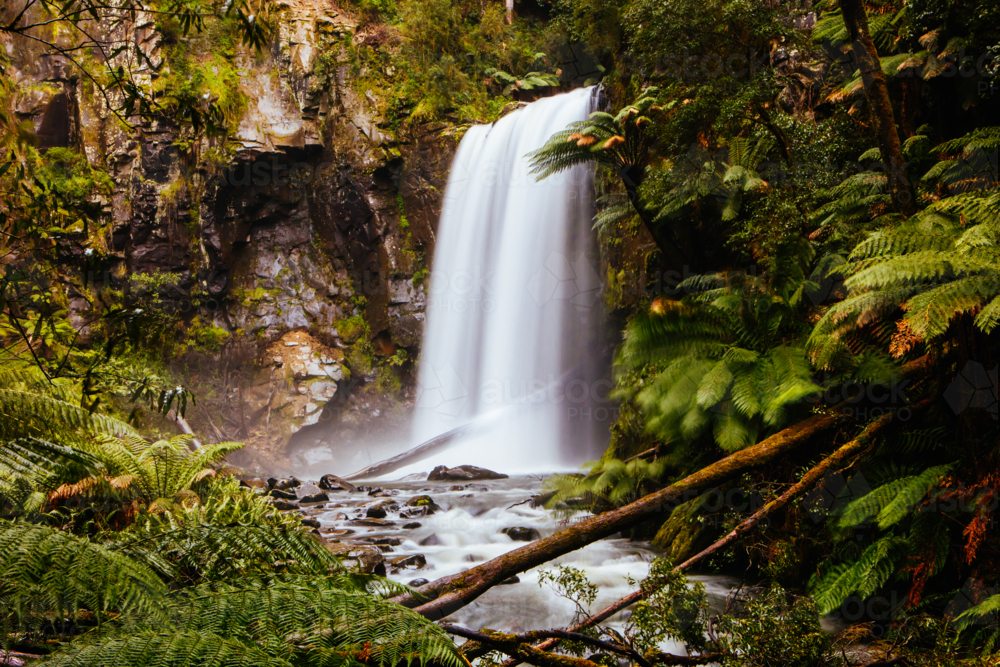 The popular Hopetoun Falls and surrounds after fierce winter storms near Lorne, Victoria, Australia - Australian Stock Image