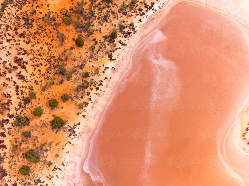 The shoreline of Lake Baladjie seen from above - Australian Stock Image