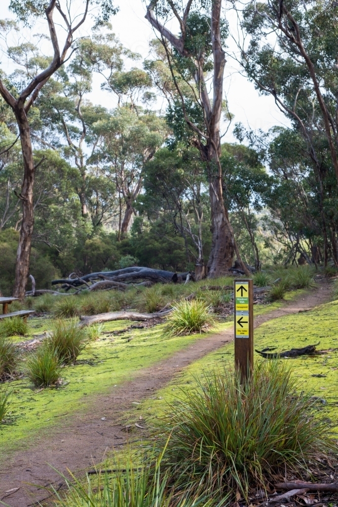 The start of a bushwalking trail - Australian Stock Image