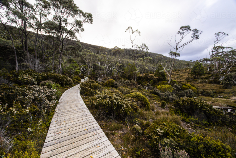 The stunning Lake Dobson on the Pandani Grove Nature Walk on a cold summer's afternoon in Tasmania, - Australian Stock Image