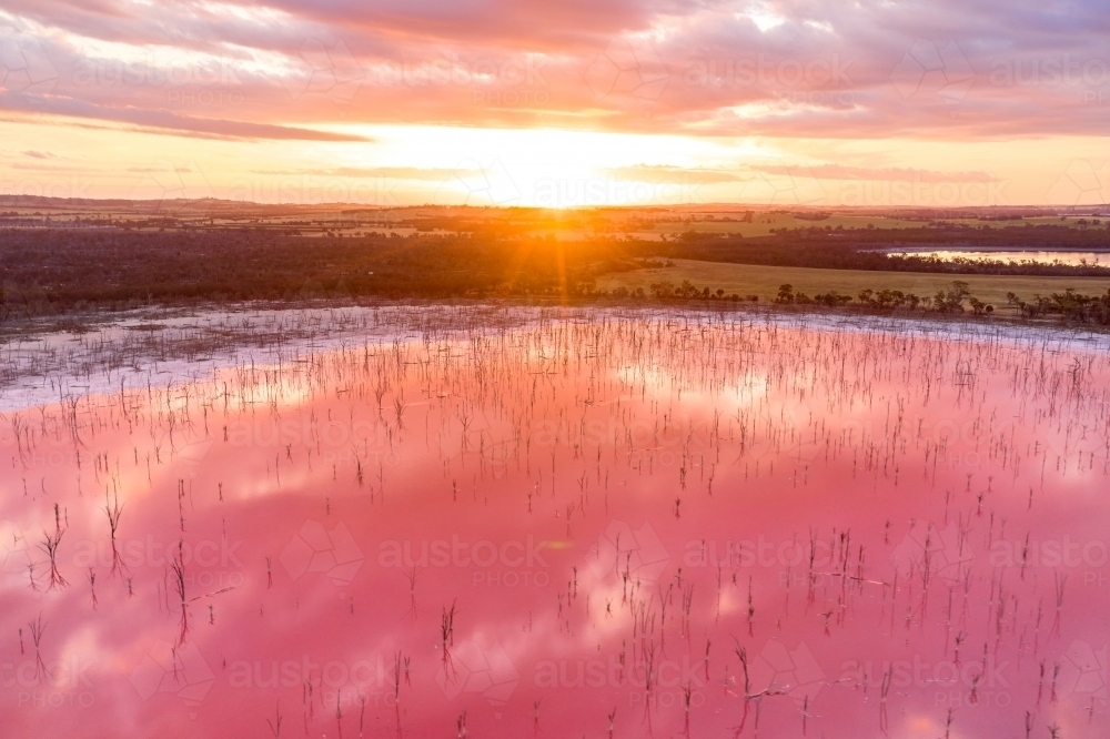 The sun setting on the horizon over a pink salt lake in Western Australia. : Austockphoto The sun setting on the horizon over a pink salt lake in Western Australia. - Australian Stock Image