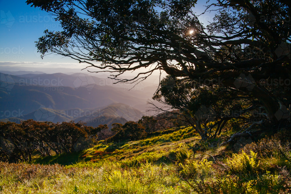 The view at sunset from the summit of Mt Buller over Little Buller Spur in Victorian High Country - Australian Stock Image