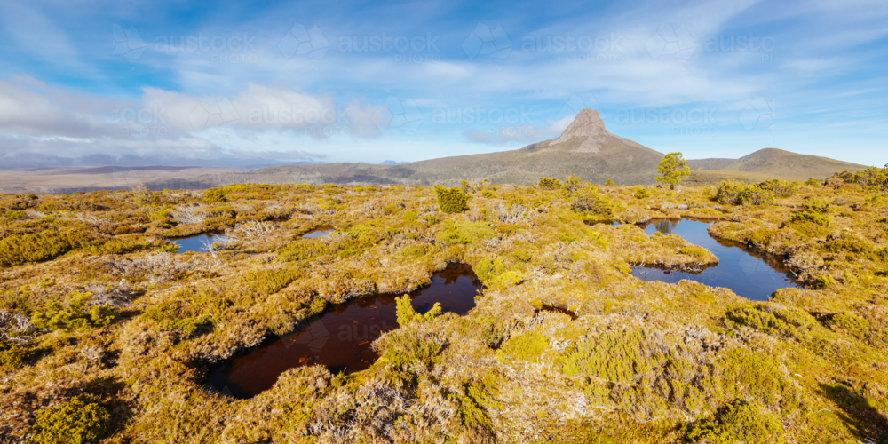 The wide landscape views early in the morning of Barn Bluff, tarns and alpine heath plants - Australian Stock Image