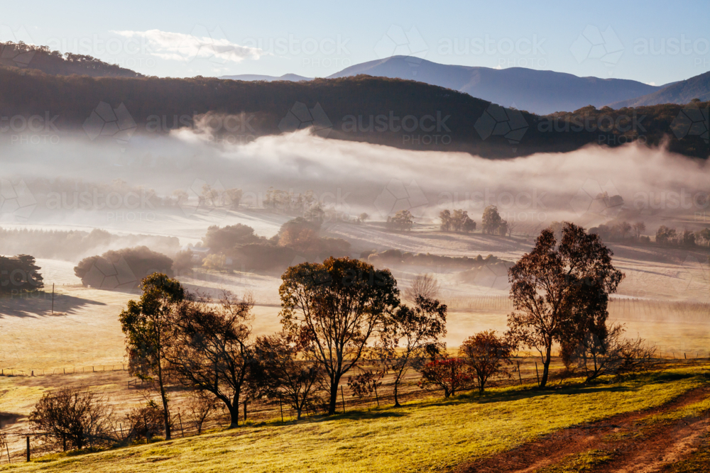 The winter sun rises on a cold misty and frosty morning in the Yarra Valley, Victoria, Australia - Australian Stock Image