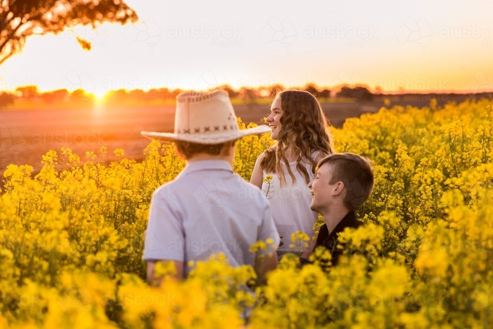 Three children family in canola field on farm at sunset looking away and laughing - Australian Stock Image
