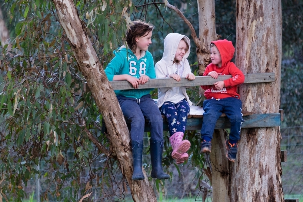 Three children sitting and chatting in a treehouse - Australian Stock Image