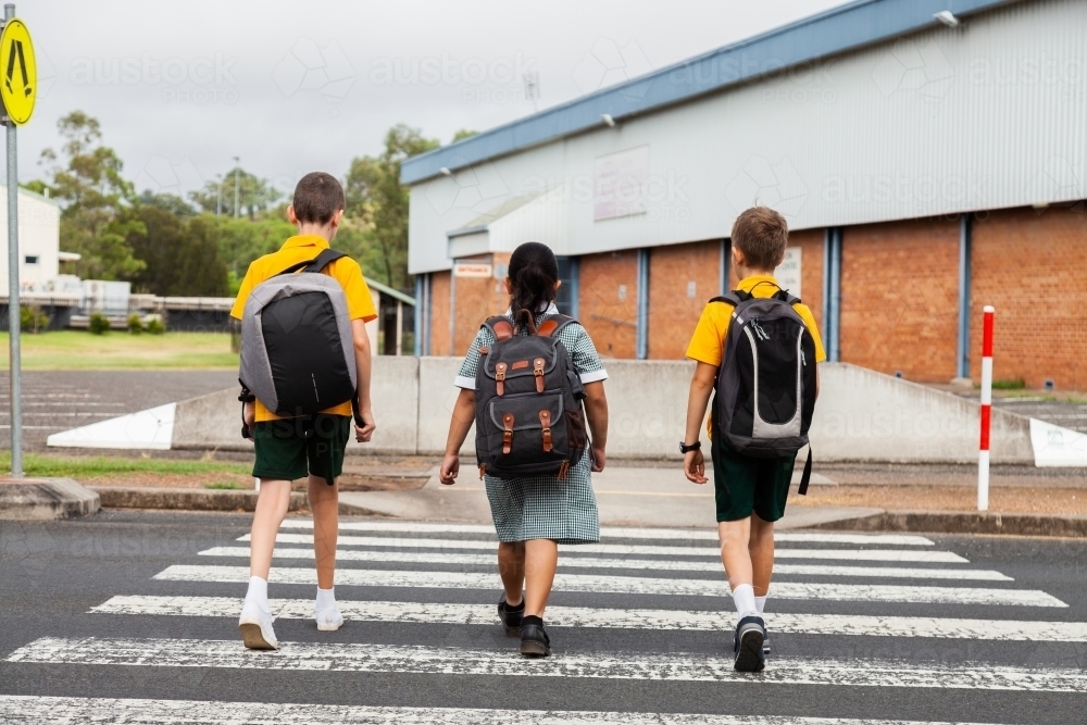 Three public school kids walking to school - crossing the road at a pedestrian crossing - Australian Stock Image