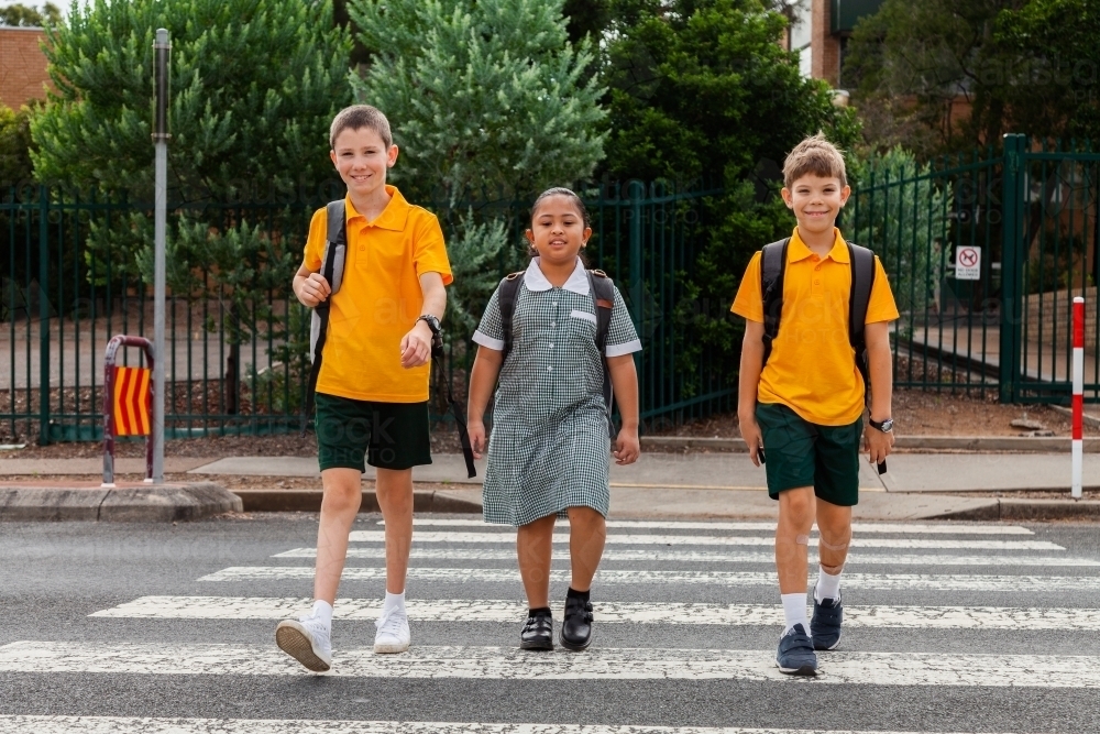 Three public school kids walking to school - crossing the road at a pedestrian crossing - Australian Stock Image